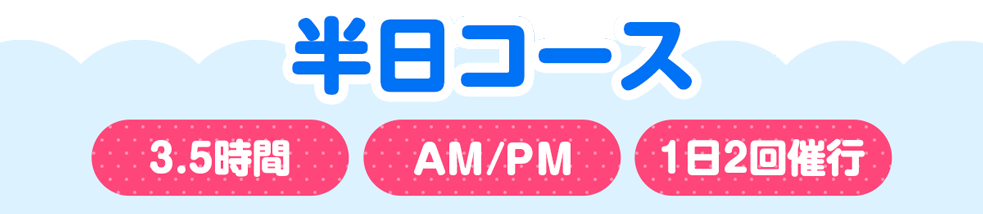 半日チャーターコース