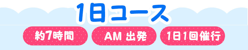 １日チャーターコース